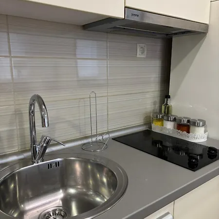 Apartment Zotovic *
