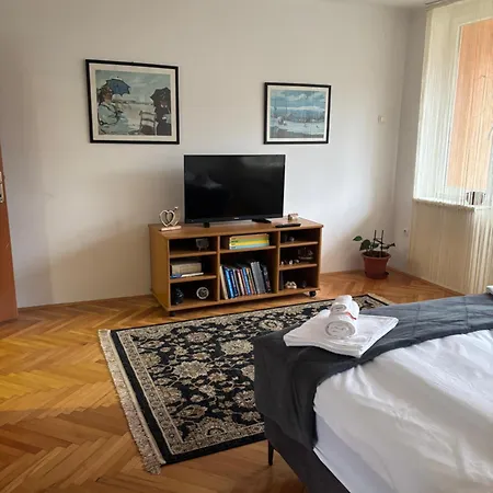 Zotovic Apartment *