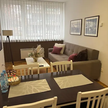 Apartment Zotovic *