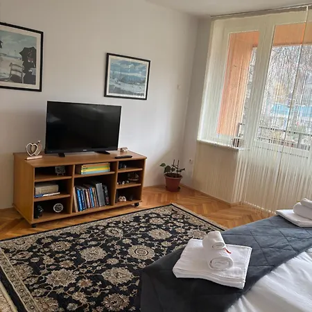Apartment Zotovic