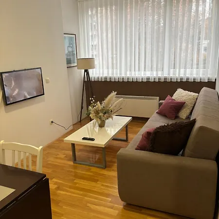 Apartmán Zotovic