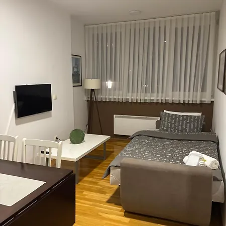 Zotovic Apartmán *