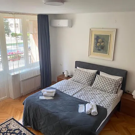 Apartment Zotovic