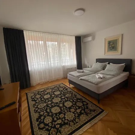 Zotovic Apartamento *