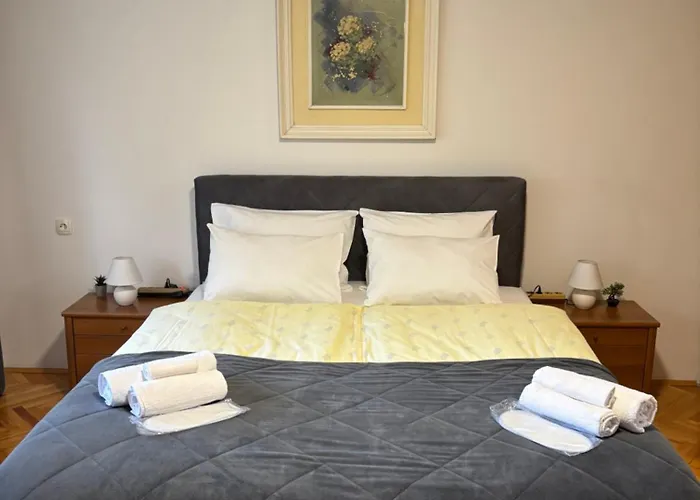 Zotovic 公寓 塞拉耶佛