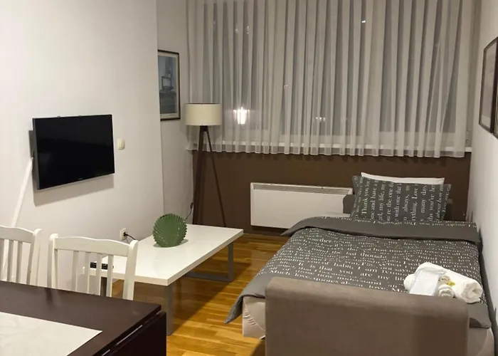 Zotovic Apartman *